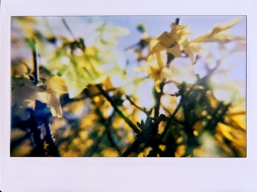 Experimenting with Instant Film